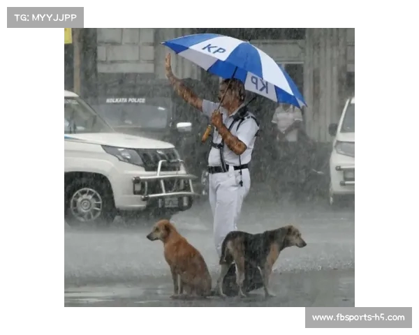 下暴雨时流浪狗自觉避雨,结果它的懂事举动让人泪目!(下大雨流浪狗会在哪躲雨) 下暴雨时流浪狗自觉避雨,结果它的懂事举动让人泪目!(下大雨流浪狗会在哪躲雨)